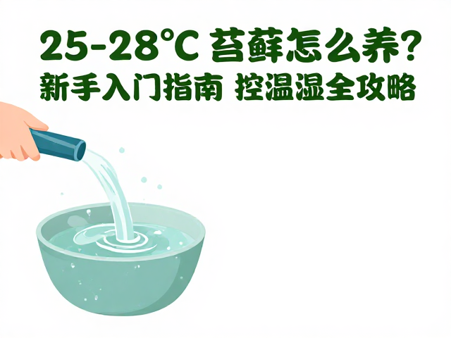 25-28℃苔藓怎么养？新手入门指南，控温保湿全攻略