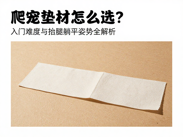 爬宠垫材怎么选？入门难度与抬腿躺平姿势全解析