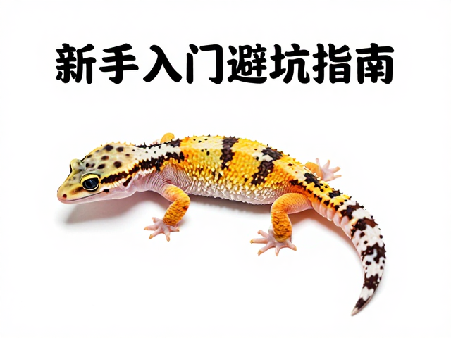 守宫蜕皮频率与残渣清理，新手入门避坑指南