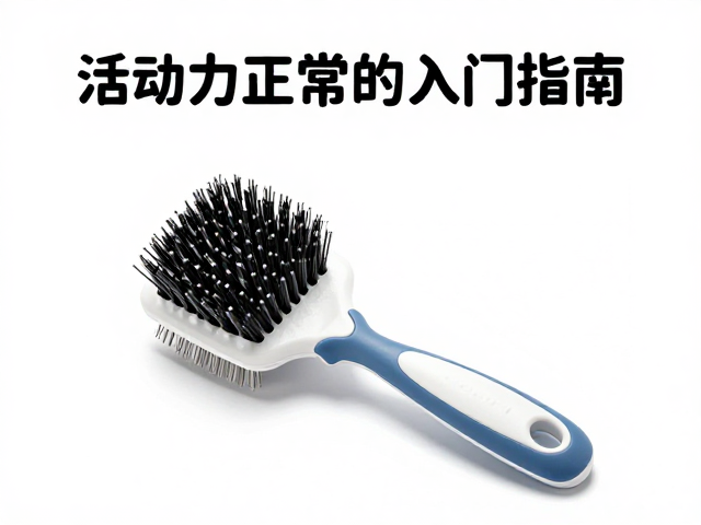 活动力正常的宠物清洁刷入门指南，轻松搞定日常清洁