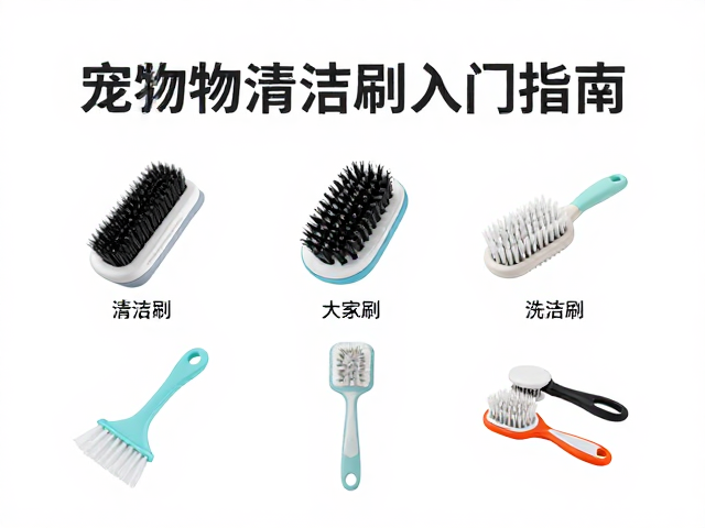 活动力正常的宠物清洁刷入门指南，轻松搞定日常清洁