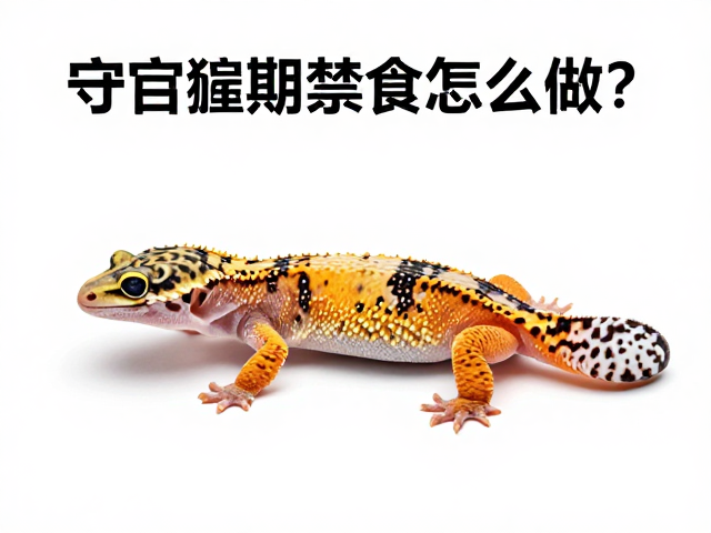 守宫蜕皮期禁食怎么做？入门健康检查指南