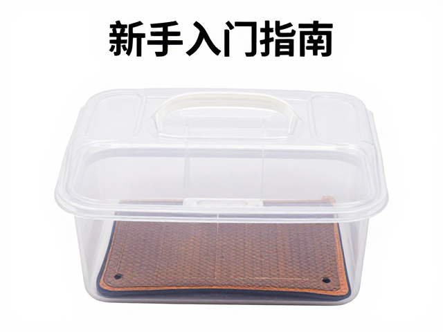 新手入门指南，饲养盒搭配加热垫，轻松养好小宠物