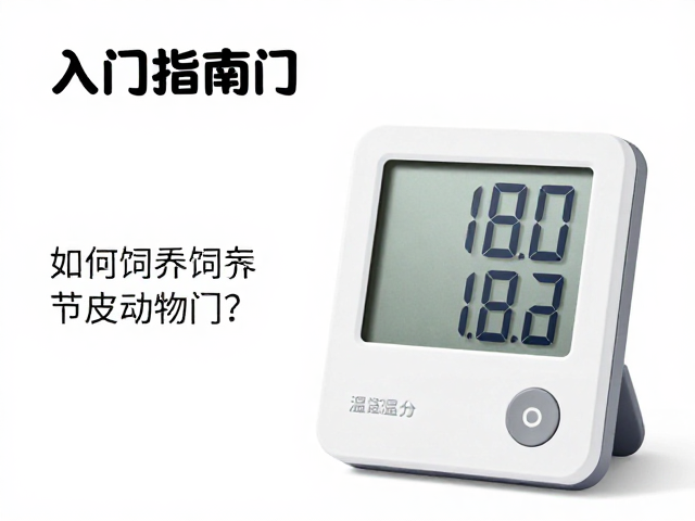 入门指南，温湿度计如何帮助饲养节肢动物门？
