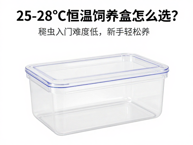 25-28℃恒温饲养盒怎么选？爬虫入门难度低，新手轻松养