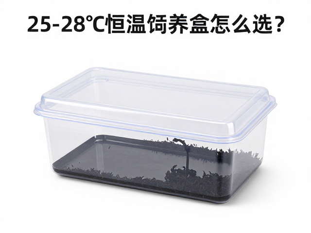 25-28℃恒温饲养盒怎么选？爬虫入门难度低，新手轻松养