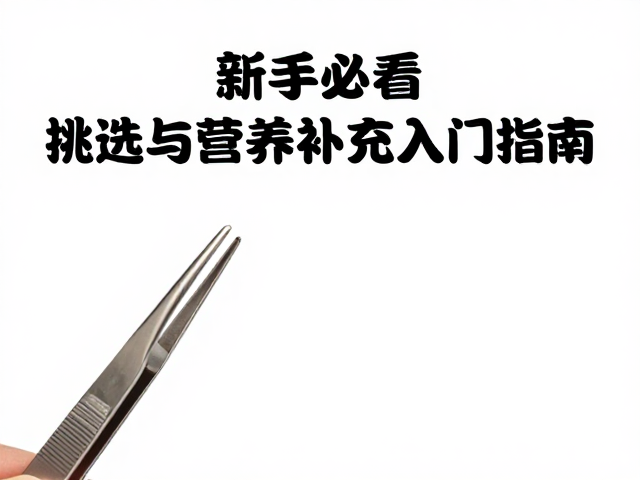 新手必看，镊子挑选与营养补充入门指南
