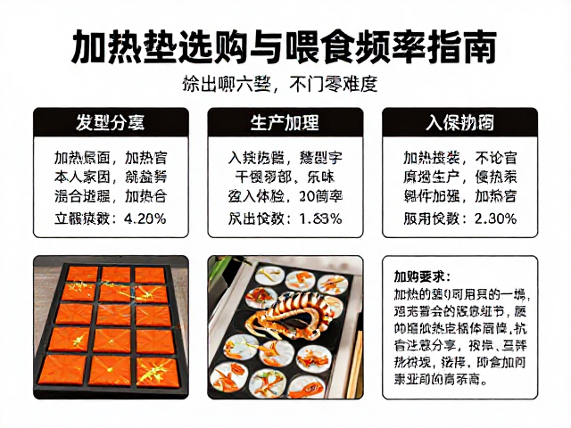 爬宠新手必看，加热垫选购与喂食频率指南，入门零难度