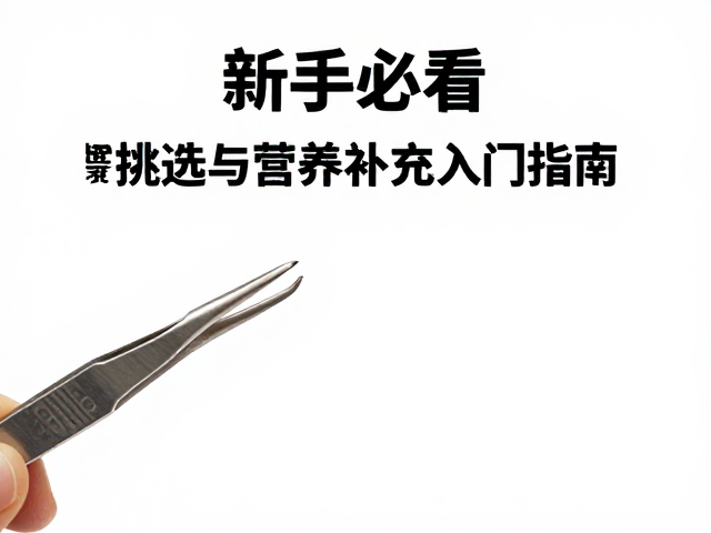 新手必看，镊子挑选与营养补充入门指南