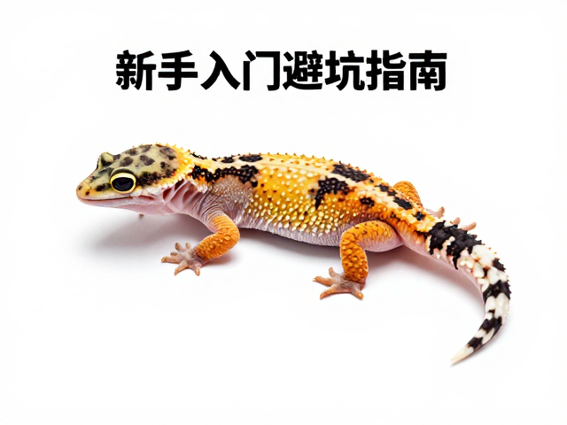 守宫蜕皮前预兆与禁食期,新手入门避坑指南