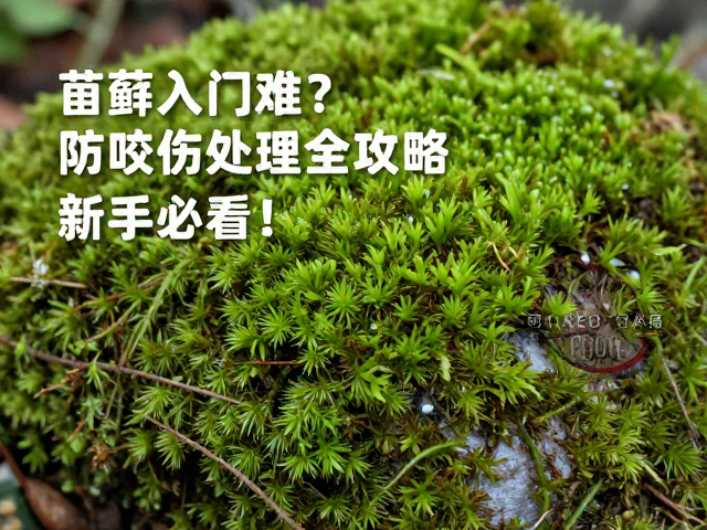 苔藓入门难？防咬伤处理全攻略，新手必看！
