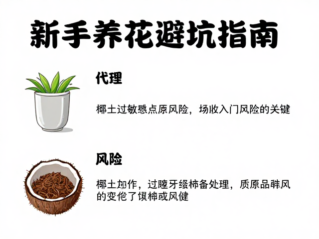 新手养花避坑指南,椰土过敏原风险及入门种植建议