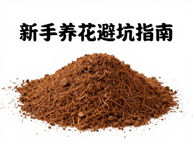 新手养花避坑指南，椰土过敏原风险及入门种植建议