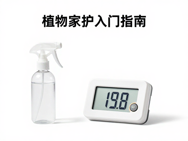 喷雾瓶，温湿度计，新手入门指南，轻松搞定植物养护与居家环境监测