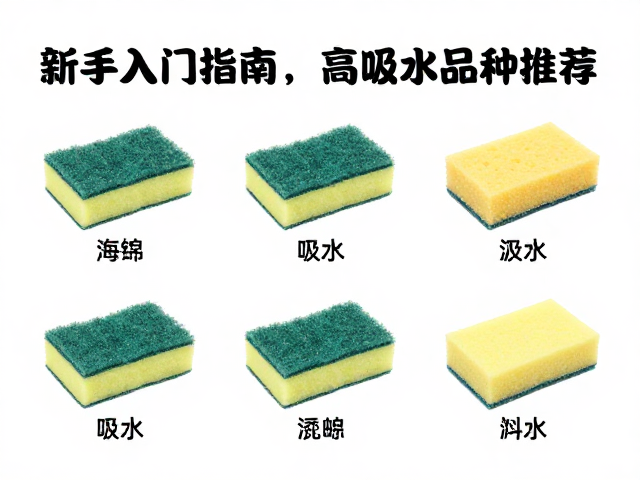 海绵吸水能力测试，新手入门指南及高吸水品种推荐