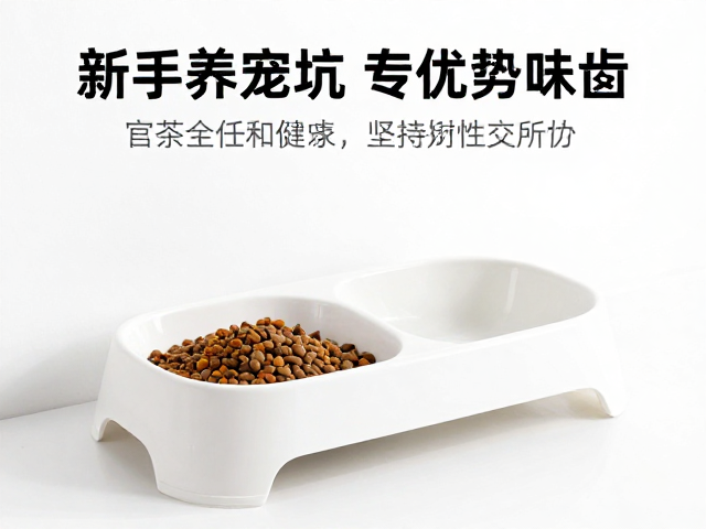 新手养宠避坑,互动性低的猫咪选什么食盆?入门难度低方案