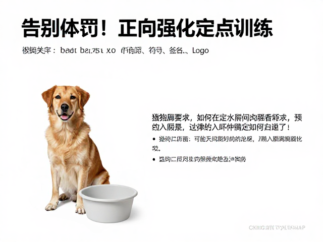 告别体罚!用正向强化法轻松训练狗狗定点如厕