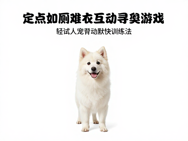 定点如厕难?试试人宠互动寻食游戏,轻松建立默契训练法