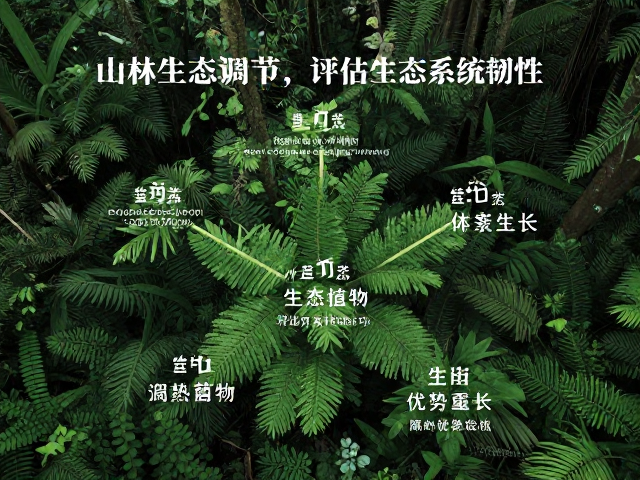 山林生态调节,评估生态系统韧性,抑制优势植物过度生长