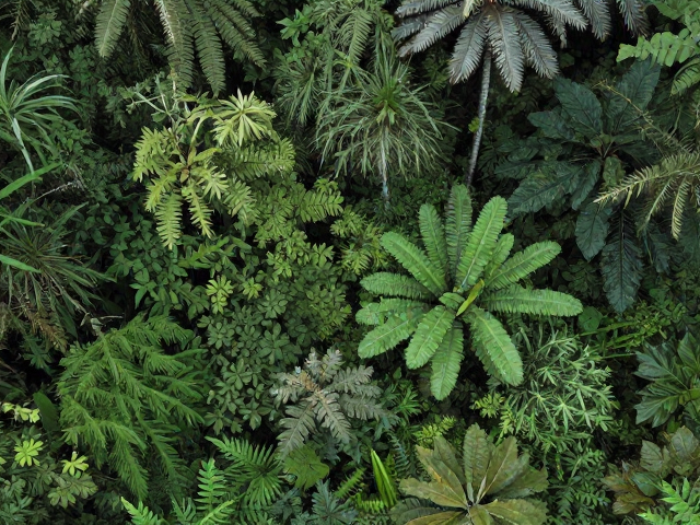山林生态调节,植物群落结构如何影响病虫害自然控制与种群平衡