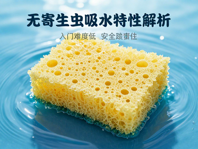 无寄生虫海绵吸水特性解析，入门难度低，安全选购指南