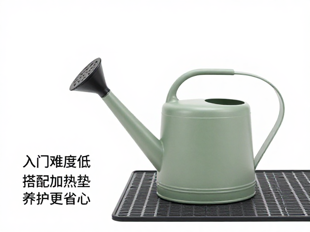 喷壶怎么选？入门难度低，搭配加热垫养护更省心