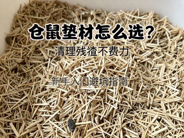 仓鼠垫材怎么选？清理残渣不费力，新手入门避坑指南