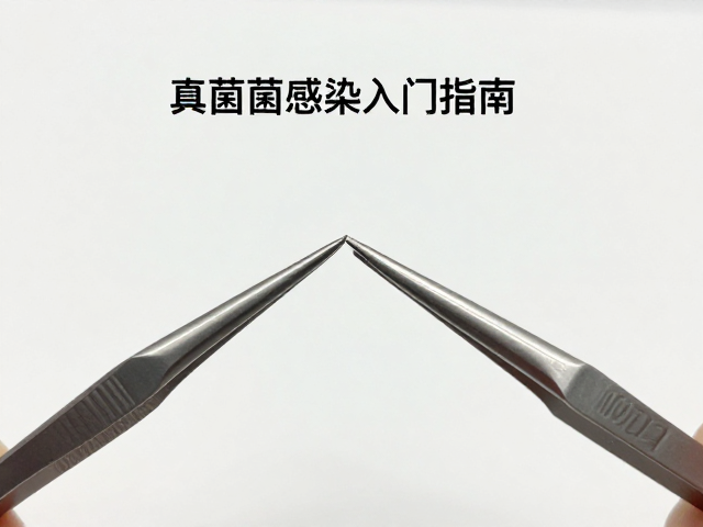 新手必看，小号镊子处理真菌感染入门指南
