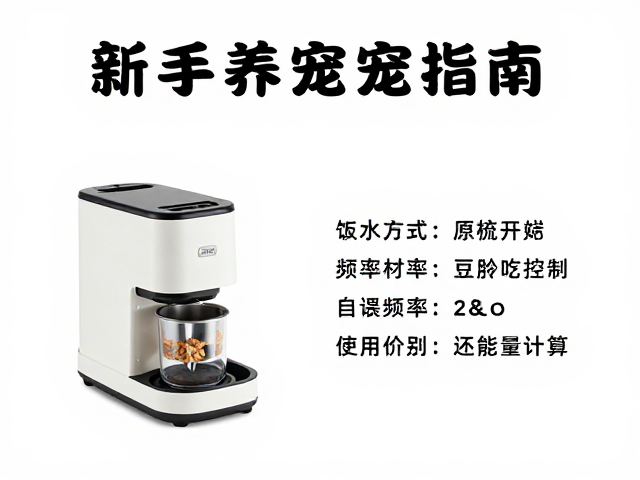 新手养宠指南，饮水方式与喂食频率全解析，入门超简单