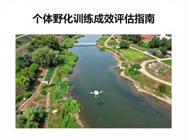 无人机监测水源充足性，个体野化训练成效评估指南