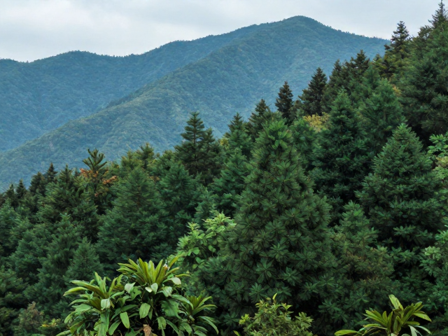 山林生态调节与水源涵养林保护，守护生态平衡指示物种
