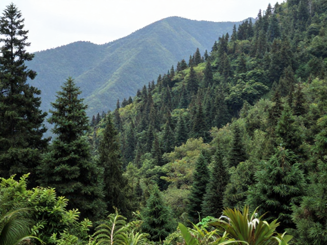 山林生态调节中的中级消费者，揭秘山地森林中层活动者