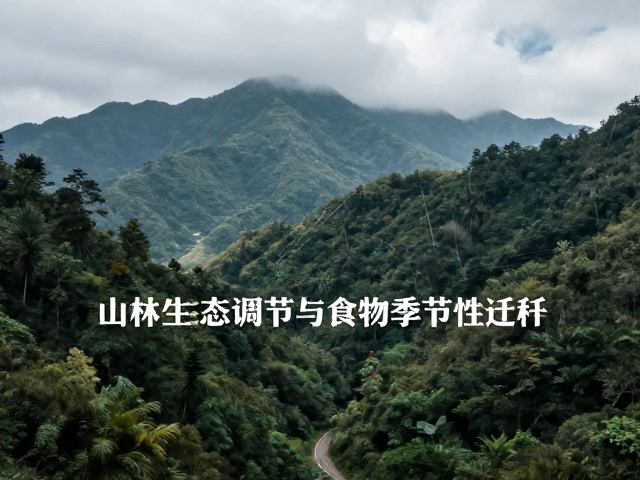 山林生态调节与食物季节性迁移,重构自然连接的教育价值