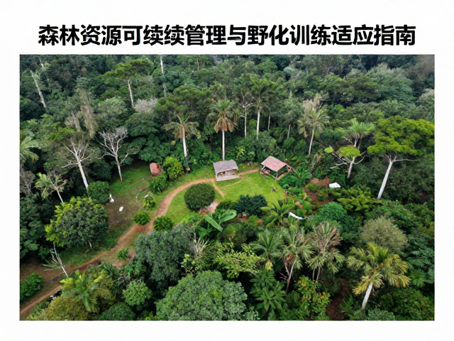 自然保护区建设,森林资源可持续管理与野化训练适应指南