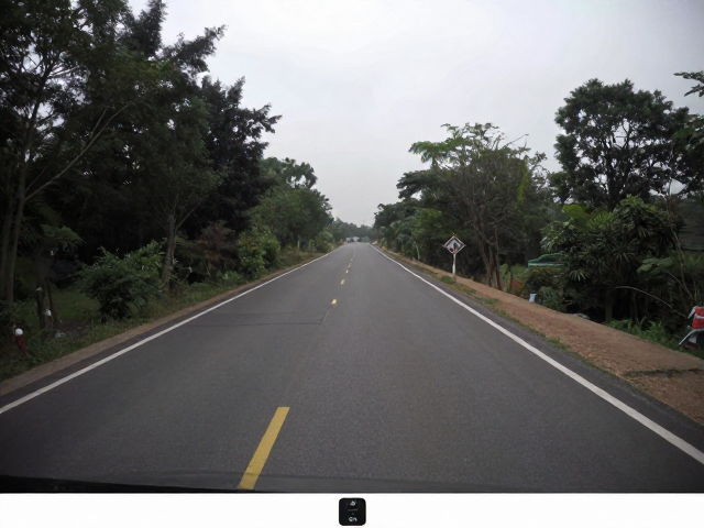 红外相机监测，道路建设割裂栖息地下的物种分布范围调查