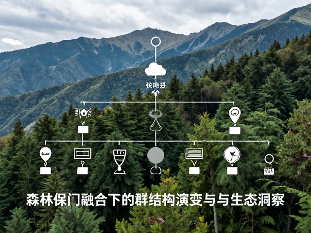 自然保护区监测,高山森林栖息下的社群结构演变与生态洞察
