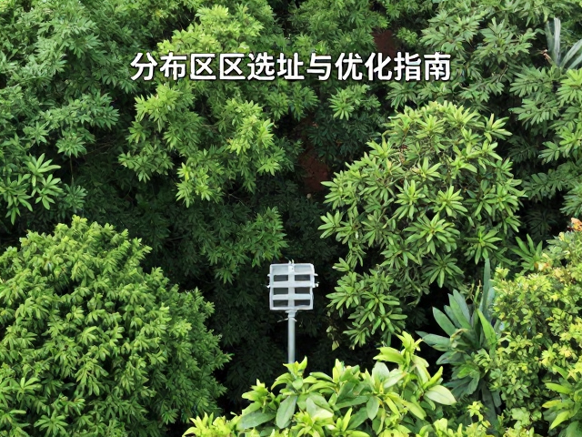 监测站点如何避开茂密树冠遮蔽？分布区域选址与优化指南