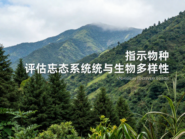 山林生态调节,如何通过指示物种评估生态系统韧性与生物多样性