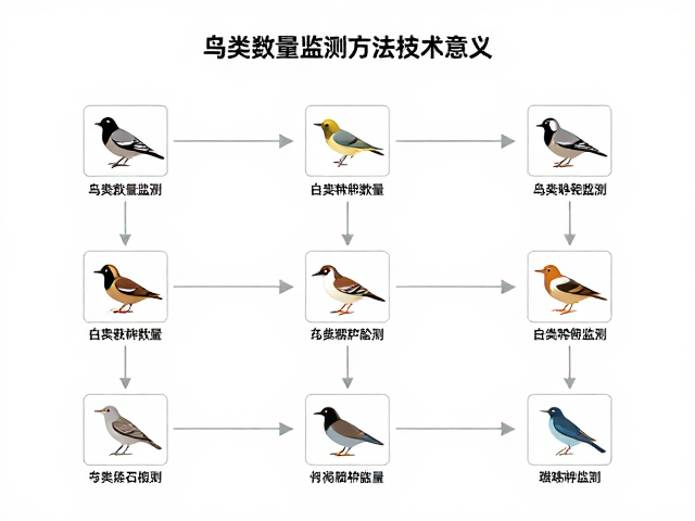 鸟类种群数量监测方法与教育意义,常见问题全解析