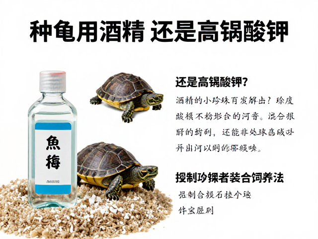 种龟鉴别指南,消毒用酒精还是高锰酸钾?河沙珍珠岩混合饲养法