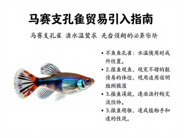 马赛克孔雀鱼水温要求及观赏鱼贸易引入指南