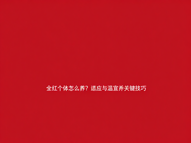 全红个体怎么养？背景色适应与温度适宜的关键技巧