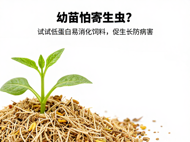 幼苗怕寄生虫?试试低蛋白易消化饲料,促生长防病害