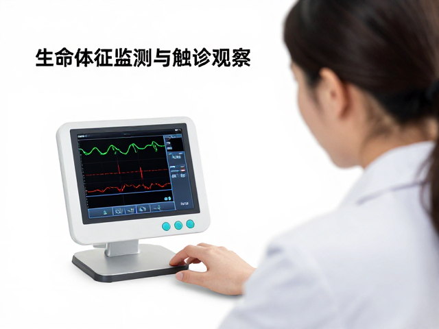 鱼腐皮病防治,结合生命体征监测与触诊观察的科学诊断法