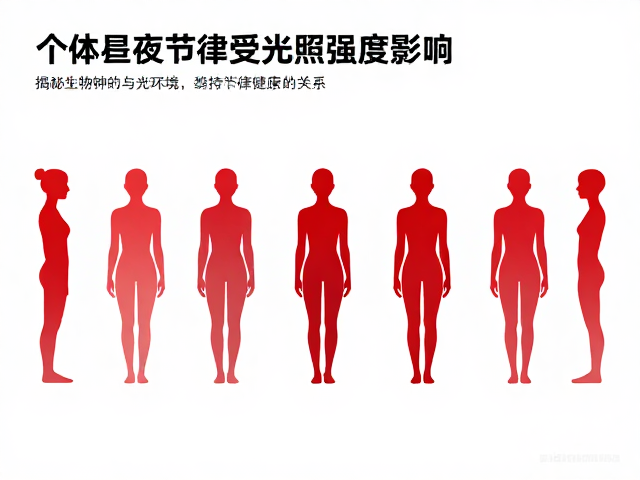 全红个体昼夜节律受光照强度影响，揭秘生物钟与光环境的关系