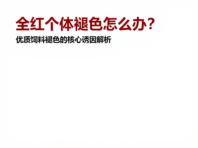 全红个体褪色怎么办？优质饲料增色攻略，找回鲜亮色泽