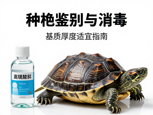 种龟鉴别与消毒,酒精高锰酸钾用法,基质厚度适宜指南