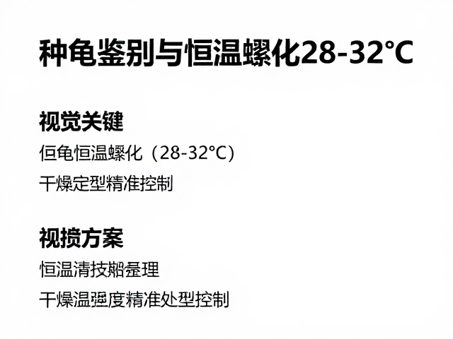 种龟鉴别与恒温孵化(28-32℃),干燥定型处理全攻略