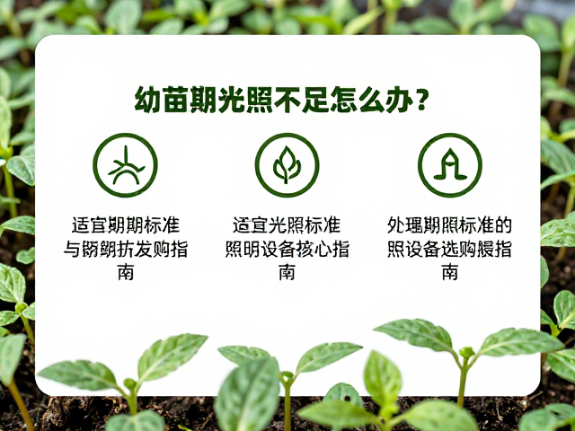 幼苗期光照不足怎么办？适宜光照标准与照明设备选购指南