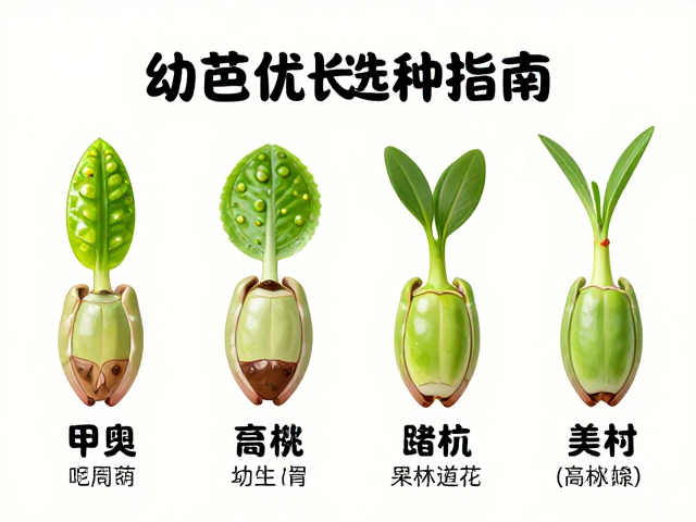 甲壳高度与体色鲜艳的幼苗选购指南，健康指标全解析